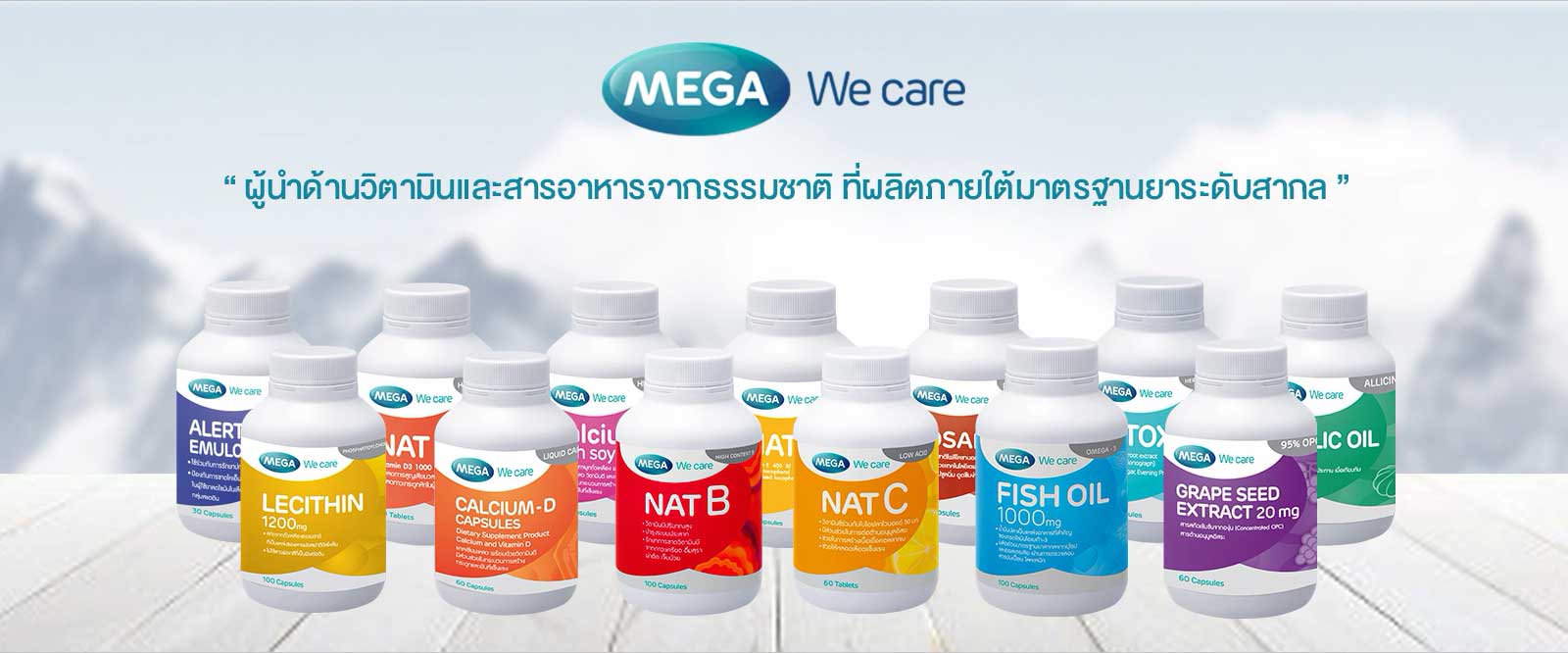 MEGA WECARE