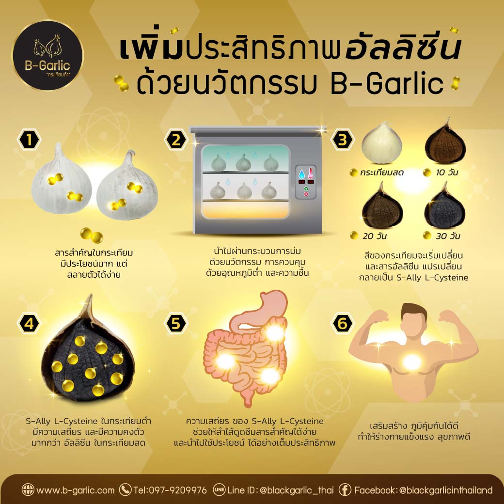 กระเทียมดำ ซอง B-Garlic บีการ์ลิค  20 g.